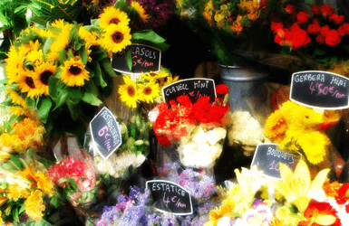 outdoor markets in Barcelona: flower market in La Rambla